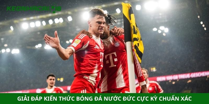 Giải đáp kiến thức bóng đá nước đức cực kỳ chuẩn xác